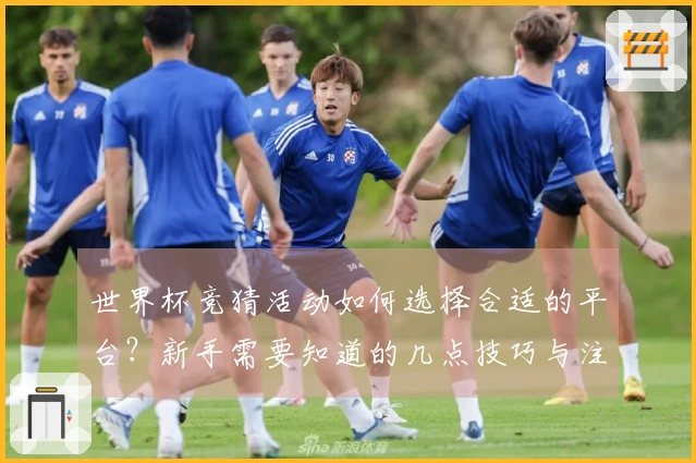 世界杯竞猜活动如何选择合适的平台？新手需要知道的几点技巧与注意事项