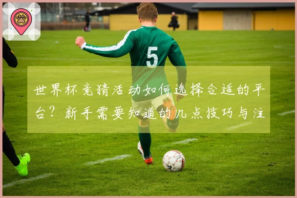 世界杯竞猜活动如何选择合适的平台？新手需要知道的几点技巧与注意事项